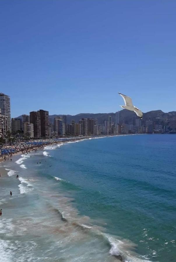 San Remo Levante Beach Apartments Benidorm Bagian luar foto